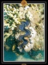 2007 Egypte 056
