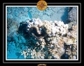 2007 Egypte 057