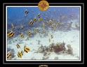 2007 Egypte 058