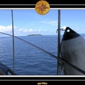 2007 Maldives 006