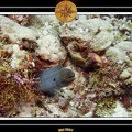 2007 Maldives 009