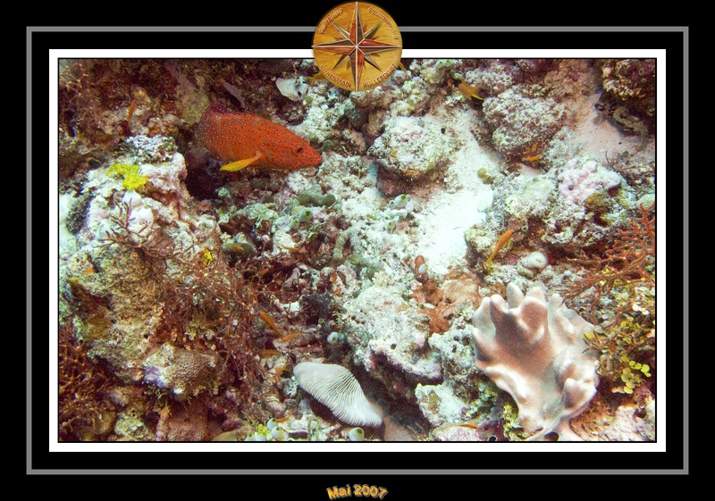 2007 Maldives 011