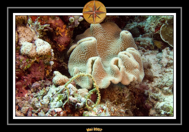 2007 Maldives 017