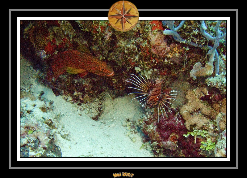 2007 Maldives 022