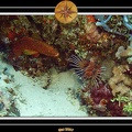 2007 Maldives 022