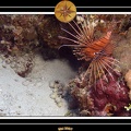 2007 Maldives 023