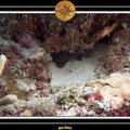 2007 Maldives 029