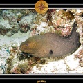 2007 Maldives 032