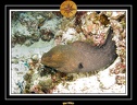2007 Maldives 032