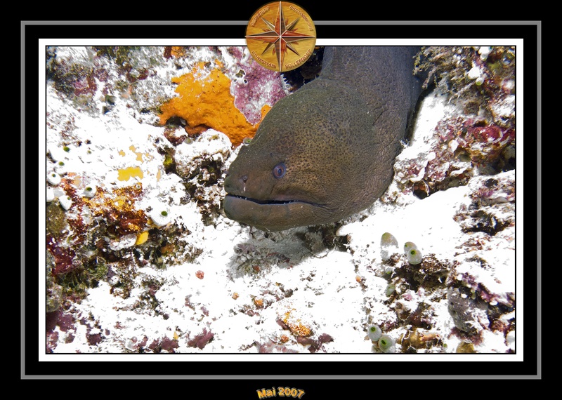 2007 Maldives 033