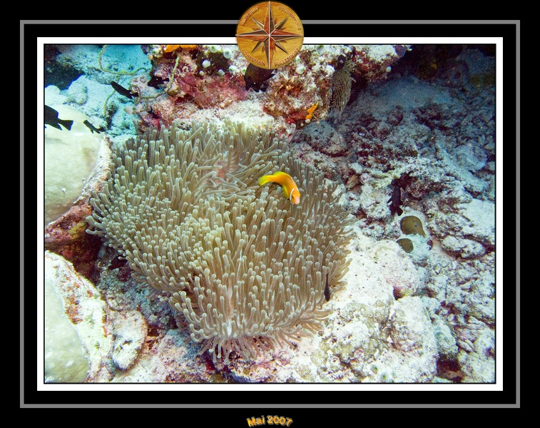 2007_Maldives_034.jpg