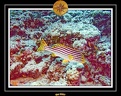 2007 Maldives 037