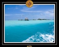 2007 Maldives 057