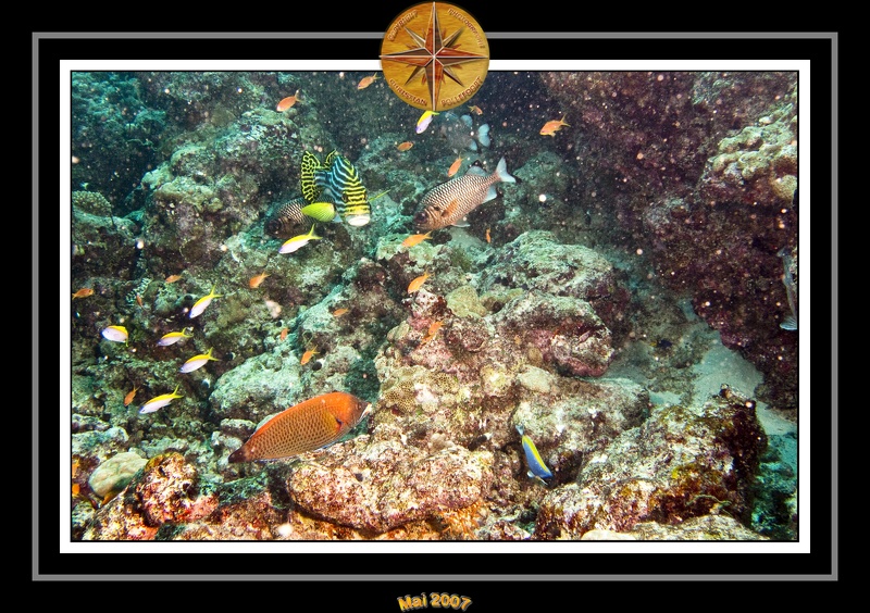 2007 Maldives 058