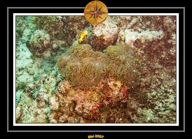2007 Maldives 060