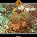 2007 Maldives 060