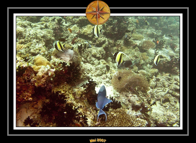 2007 Maldives 064