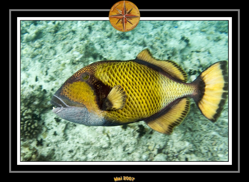 2007 Maldives 072
