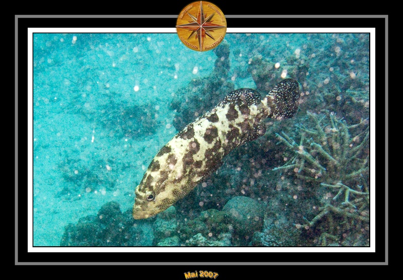 2007 Maldives 083