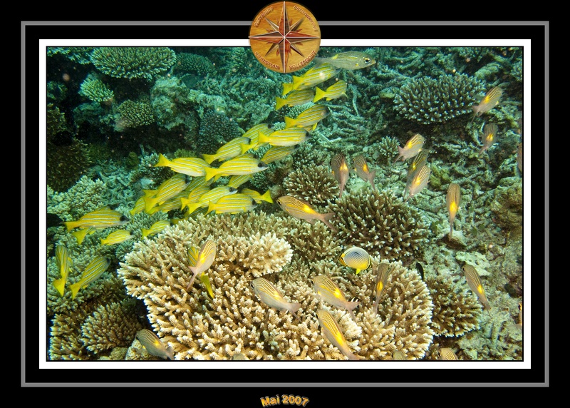 2007 Maldives 087