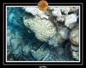 2007 Maldives 091