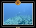 Maldives 07 Mantas 07