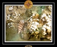 2008 egypte el qoseir 002