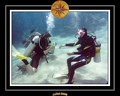 2008 egypte el qoseir 043