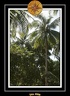  CPO2789