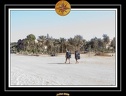 2009 EL QOSEIR Plage 001