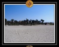 2009 EL QOSEIR Plage 013