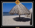 2009 EL QOSEIR Plage 015