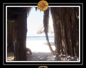 2009 EL QOSEIR Plage 016