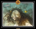 2009 EL QOSEIR Plongee 044