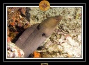 2009 Embudu PL 004