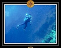 2009 Embudu PL 011