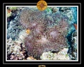 2009 Embudu PL 025