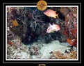 2009 Embudu PL 027