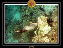 2009 Embudu PL 030
