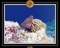 2009 Embudu PL 037