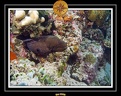 2009 Embudu PL 038