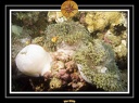 2009 Embudu PL 041