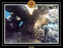 2009 Embudu PMT 013