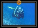 CPO 2010 El Qoseir 55