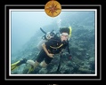 2010 Maldives 001