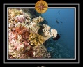 2010 Maldives 005