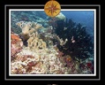 2010 Maldives 006