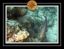 2010 Maldives 018
