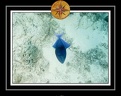 2010 Maldives 026
