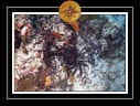 2010 Maldives 027